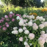 Проживание в семье Na Mazurach. Ольштынек