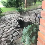 Na Mazurach. Проживание в семье *