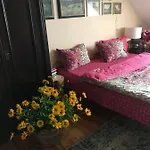 Проживание в семье Na Mazurach.