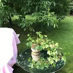 Проживание в семье Na Mazurach.