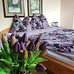 Na Mazurach. Проживание в семье