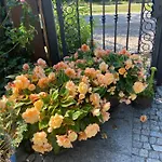 Проживание в семье Na Mazurach.