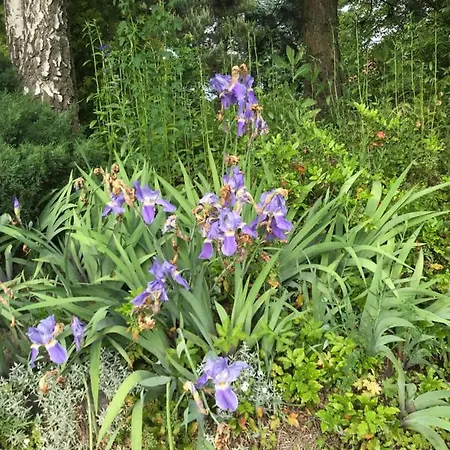 Na Mazurach. Accommodatie bij particulieren *