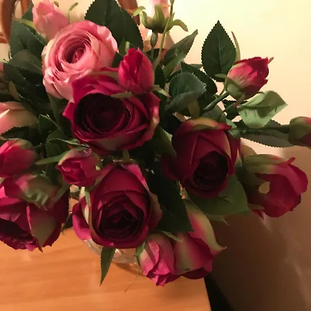 Na Mazurach. Accommodatie bij particulieren Olsztynek