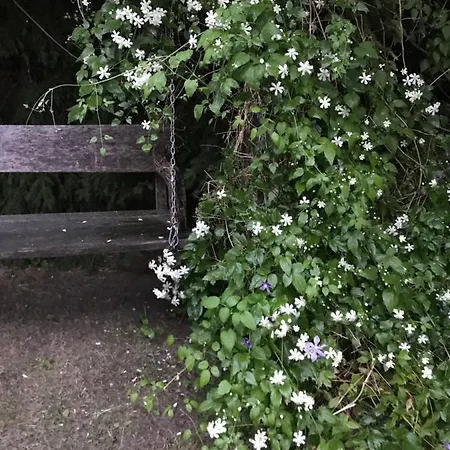 Na Mazurach. * Olsztynek