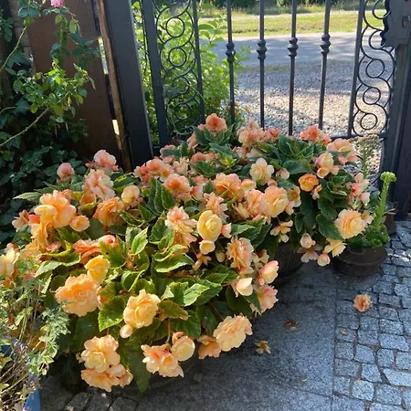 Accommodatie bij particulieren Na Mazurach.