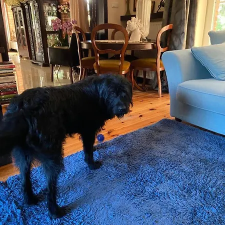 Accommodatie bij particulieren Na Mazurach. Olsztynek