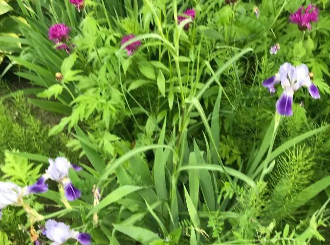 Na Mazurach. Olsztynek