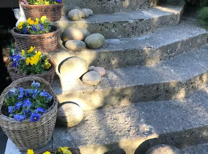 Na Mazurach. Homestay Olsztynek