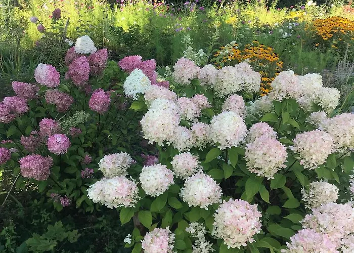 Homestay Na Mazurach. Olsztynek