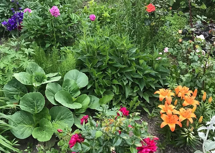 Homestay Na Mazurach.