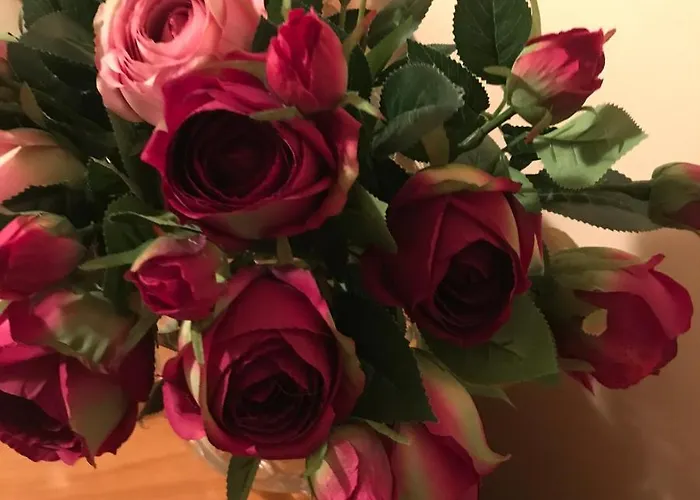 Na Mazurach. Homestay Olsztynek