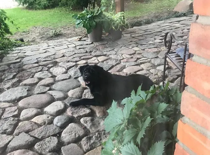 Na Mazurach. Homestay *