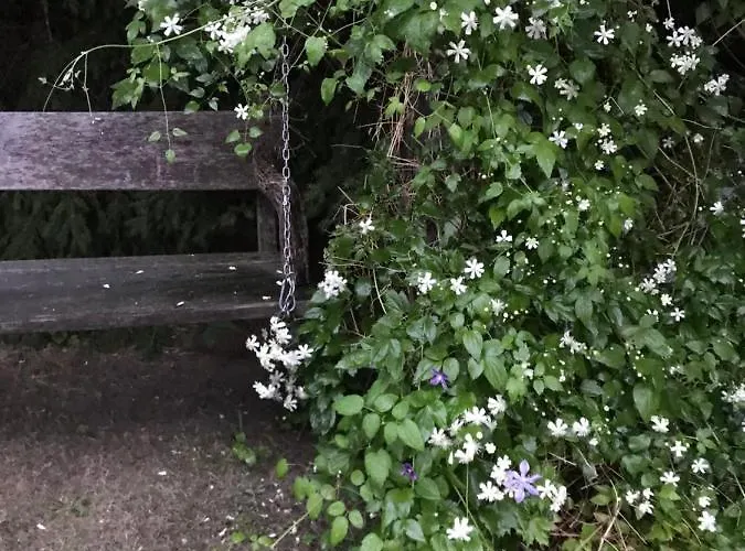 Na Mazurach. * Olsztynek