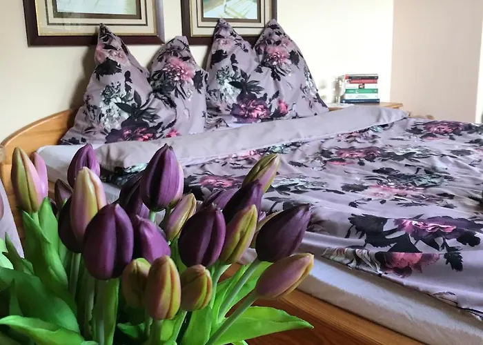 Na Mazurach. Homestay