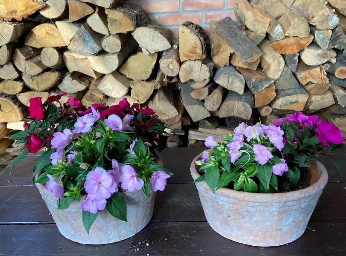 Homestay Na Mazurach. *