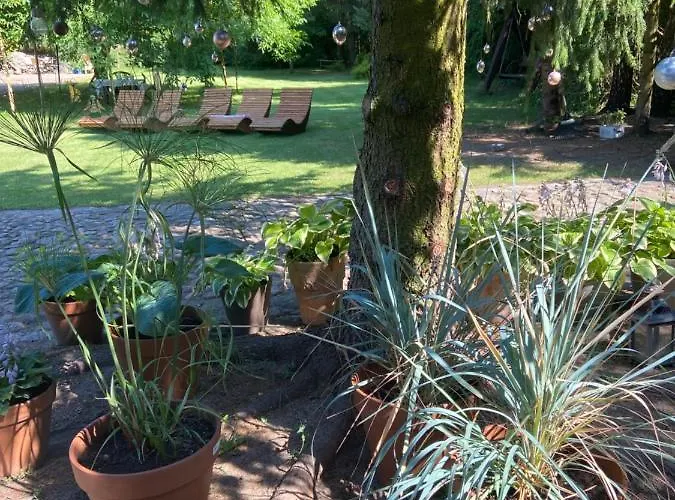 Homestay Na Mazurach. Olsztynek