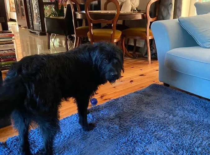 Homestay Na Mazurach. Olsztynek